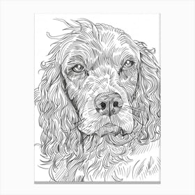 Boykin Spaniel Dog Line Art 1 Canvas Print