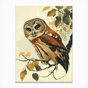 Northern Saw Whet Owl Vintage Illustration 1 Canvas Print