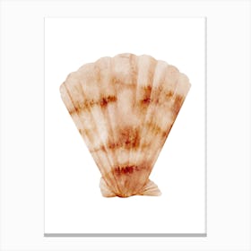 Colored seashells. Seashells. Summer. 15 Canvas Print