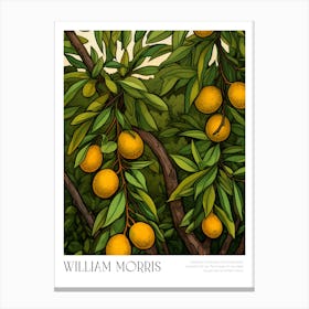 William Morris 15 Canvas Print