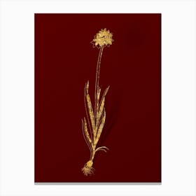 Vintage Orange Ixia Botanical in Gold on Red Canvas Print