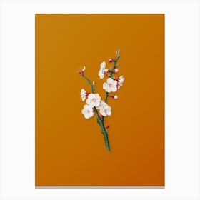 Vintage Apricot Flower Botanical on Sunset Orange Canvas Print