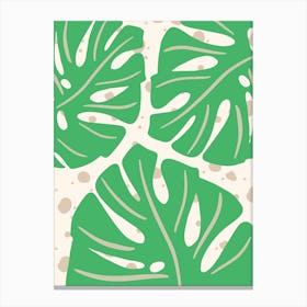 Monstera Leaves Canvas Print