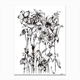Black and White Daisy Bouquet Canvas Print