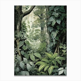 Vintage Jungle Botanical Illustration Pothos 1 Canvas Print