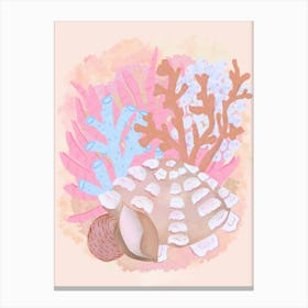 Pink Seashells Canvas Print