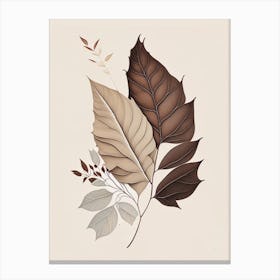 Ash Leaf Earthy Line Art Canvas Print