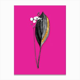 Vintage Bulltongue Arrowhead Black and White Gold Leaf Floral Art on Hot Pink n.1209 Canvas Print