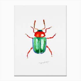 Gastrophysa polygoni, a knotweed beetle, watercolor artwork Canvas Print