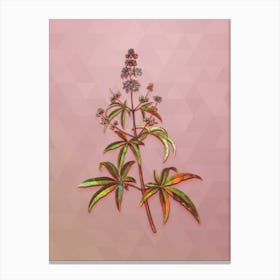 Vintage Chaste Tree Botanical Art on Crystal Rose n.0068 Canvas Print