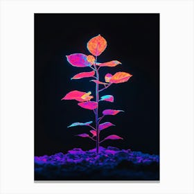 Plant In The Dark 15 Canvas Print