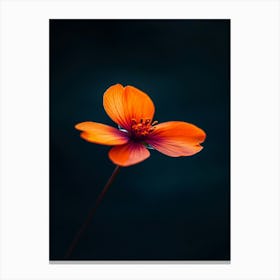 Orange Flower 1 Canvas Print