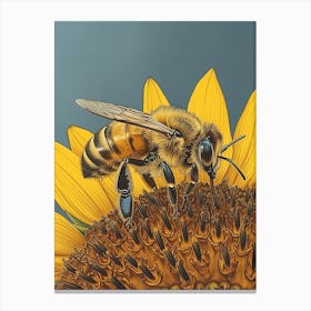 Halictidae Bee Storybook Illustration 6 Canvas Print