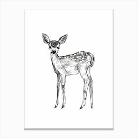 B&W Deer Canvas Print