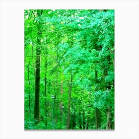 Greeness Canvas Print