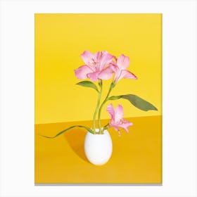 Pink Flower And Egg Canvas Print