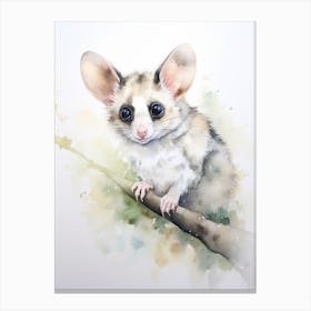 Light Watercolor Painting Of A Ringtail Possum 4 Canvas Print
