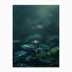 Flower In The Water 1 Canvas Print