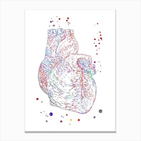 Heart Anatomy Art Canvas Print