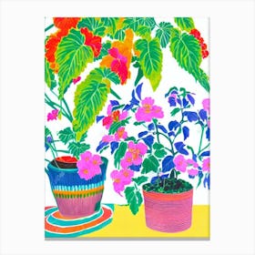 Begonia Eclectic Boho Plant Canvas Print