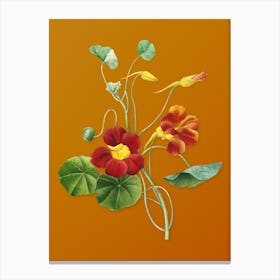 Vintage Monks Cress Botanical on Sunset Orange n.0732 Canvas Print