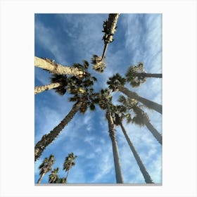 Palm Trees In The Sky Canvas Print