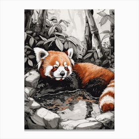 Red Panda Relaxing In A Hot Spring Ink Illustration 2 Canvas Print