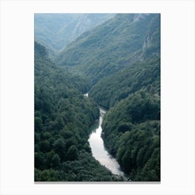 The River Through The Forest Canvas Print