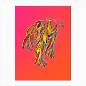 Neon Babylon Willow Botanical in Hot Pink and Electric Blue n.0553 Canvas Print