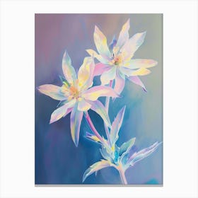 Iridescent Flower Edelweiss 1 Canvas Print