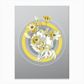 Botanical Broad Leaved Anemone in Yellow and Gray Gradient n.002 Canvas Print