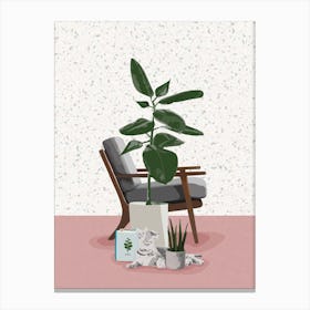 Succulent Plant 6 Canvas Print