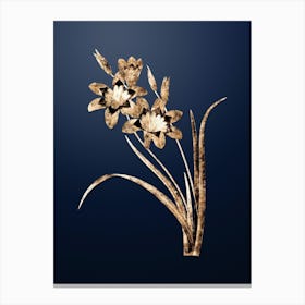Gold Botanical Ixia Tricolore on Midnight Navy Canvas Print