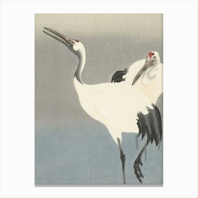 Japanese Ukiyo-E Two Cranes Canvas Print