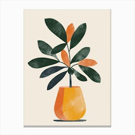 Money Tree Plant Minimalist Illustration 3 Canvas Print