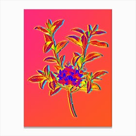 Neon Azalea Botanical in Hot Pink and Electric Blue n.0536 Canvas Print