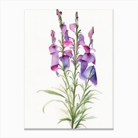 Beardtongue Wildflower Watercolour Canvas Print