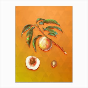 Vintage White Speckled Peach Botanical Art on Tangelo n.0227 Canvas Print