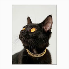 Cat With Gold Collar Canvas Print