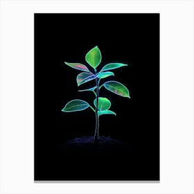 Neon Plant 2 Canvas Print