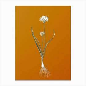 Vintage Three-Cornered Leek Botanical on Sunset Orange Canvas Print
