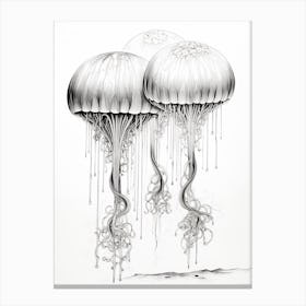 Moon Jellyfish Drawing 1 Canvas Print