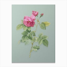 Vintage Pink Bourbon Roses Botanical Art on Mint Green n.0716 Canvas Print