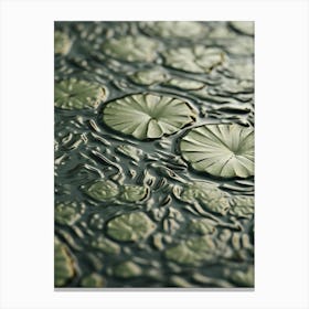Water Lily 3 Canvas Print