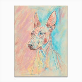 Pastel Watercolour Pharaoh Hound Dog Line Illustration 2 Canvas Print