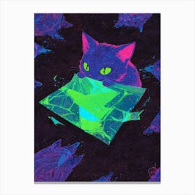 Cat In A Box 7 Canvas Print