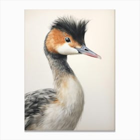 Vintage Bird Drawing Grebe 2 Canvas Print