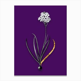 Vintage Arabian Starflower Black and White Gold Leaf Floral Art on Deep Violet n.0737 Canvas Print