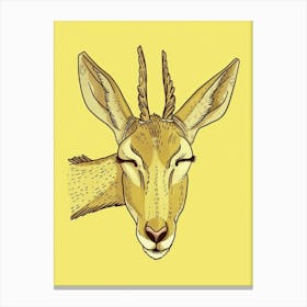 Antelope 13 Canvas Print