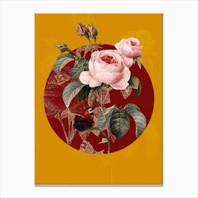 Vintage Botanical Provence rose Rosa centifolia on Circle Red on Yellow n.0228 Canvas Print